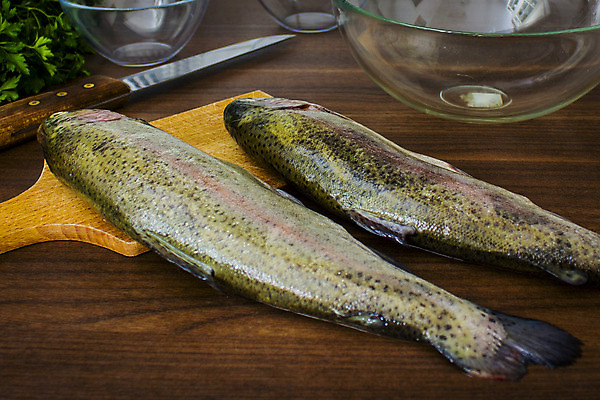 포토 JPG 해외이미지 동물 접시 음식 바다 2 다이어트 낚시 파슬리 건강 육류 어류 요리 사람없음 초록색 주방 식사 저녁식사 죽음 신선 맛 은색 해산물 피부 준비 꼬리 날것 내추럴 점심식사 민물 송어 오메가 해외202004 해외포토 식기 컬러 컨셉 채소 식재료 레저 신체부위 수중동물 파일형식 이미지허브