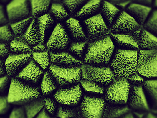 포토 JPG 해외이미지 나무 식물 디자인 과학 백그라운드 잎 패턴 파충류 자연 추상 양서류 미술 사람없음 초록색 환경 정원 봄 신선 묘사 유기농 질감 눈금 내추럴 생태학 엘리먼트 울퉁불퉁 해외202004 해외포토 동물 웰빙 계절 교육 컬러 무늬 문화예술 생태계 파일형식 이미지허브