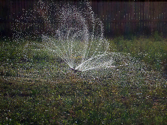 포토 JPG 해외이미지 계절 음료 잔디 사람없음 초록색 물 여름 태양 성장 개울 뿌리기 서비스 물주기 가뭄 해외202004 해외포토 자연요소 식물 컬러 모션 날씨 강 파일형식 이미지허브