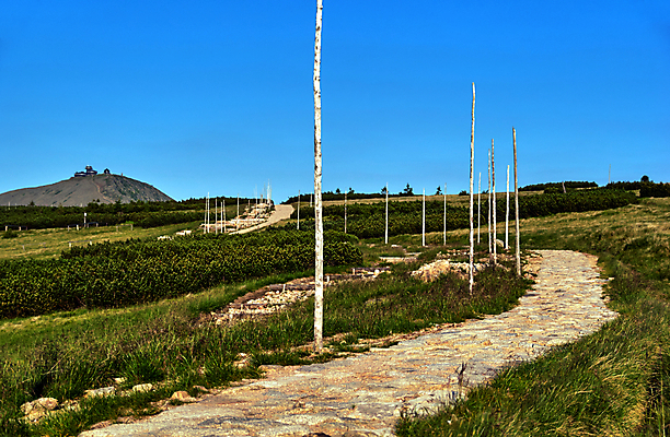 포토 JPG 해외이미지 나무 식물 유럽 도로 길 자국 하늘 산 풍경 경사 사람없음 여행객 바위 정상 숲 봉 침엽수 폴란드 수평선 해외202004 해외포토 나라 교통시설 사람 돌_바위 파일형식 이미지허브