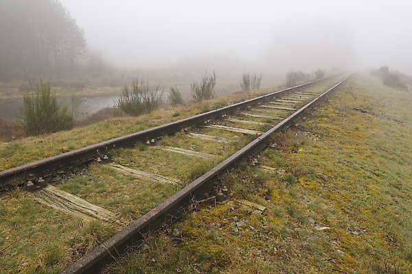 포토 JPG 해외이미지 식물 문화 선 자연 독일 풍경 사람없음 금속 안개 경계선 행운 보호 부식 천연기념물 동물상 보호구역 뿌연 선로 자취 특별함 해외202004 해외포토 유럽 컨셉 재질 날씨 조형물 경계 생태계 구역 파일형식 이미지허브