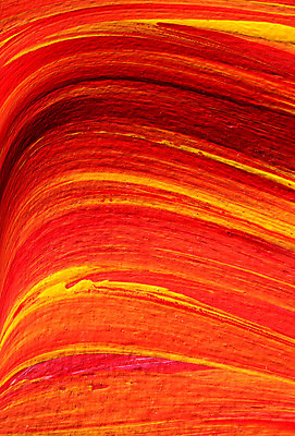 포토 JPG 해외이미지 백그라운드 붓터치 추상 사람없음 빨간색 물감 그림 질감 해외202004 해외포토 컬러 무늬 미술도구 파일형식 이미지허브