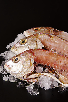 포토 JPG 해외이미지 동물 라이프스타일 접시 음식 바다 다이어트 자연 건강 육류 어류 요리 사람없음 빨간색 주방 식당 얼음 식사 흰색 신선 레몬 해산물 서비스 준비 날것 레시피 해외202004 해외포토 자연요소 식기 컬러 과일 식재료 생활 상점 수중동물 생태계 파일형식 이미지허브