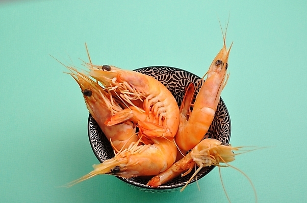 포토 JPG 해외이미지 동물 유럽 음식 바다 자연 새우 갑각류 요리 사람없음 해산물 날것 해외202004 해외포토 나라 생태계 파일형식 이미지허브