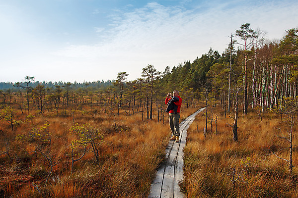 포토 JPG 해외이미지 나무 식물 공원 길 여행 자국 자연 이끼 한명 풍경 잔디 야외 목재 초록색 물 환경 산책 하이킹 가을 시골 연못 판넬 황무지 습지 숲 오솔길 내추럴 라트비아 변소 해외202004 해외포토 자연요소 1 계절 공공시설 컬러 재료 레저 휴식 북유럽 사람 생태계 파일형식 이미지허브