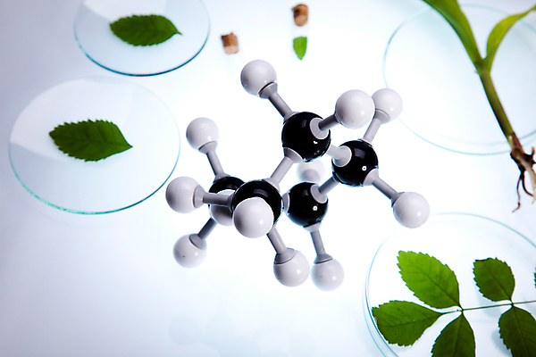 포토 JPG 해외이미지 식물 잎 실내 실험 사람없음 화학 실험실 플라스크 흰배경 비커 화학실험 분자구조모형 샬레 해외202004 해외포토 과학 백그라운드 실험기구 내부 모형 흰색 분자구조 파일형식 이미지허브