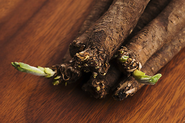 포토 JPG 해외이미지 식물 음식 백그라운드 겨울 농업 다이어트 채소 재료 가족 건강 요리 사람없음 목재 가로 초록색 빛 검은색 흰색 시골 신선 자르기 유기농 날것 뿌리 고립 채식주의자 해외202004 해외포토 나무 웰빙 계절 산업 컬러 관계 모션 채식 파일형식 이미지허브