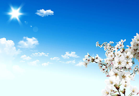 포토 JPG 해외이미지 나무 식물 구름 계절 꽃 호수 백그라운드 단풍 잎 밭 자연 하늘 날씨 추상 사람없음 야외 초록색 물 여름 파란색 빛 강 컬러풀 태양 반사 환경 정원 봄 성장 벚꽃 나뭇가지 신선 체리 숲 유기농 원예 해외202004 해외포토 자연요소 웰빙 컬러 무늬 농업 과일 취미 생태계 파일형식 이미지허브