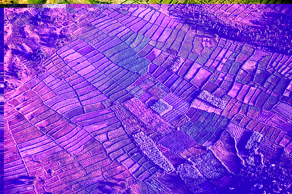 포토 JPG 해외이미지 건축물 바다 섬 여행 교통시설 아프리카 자연 안테나 풍경 사람없음 건물 관광지 하이앵글 농장 도시 숲 암초 타운 스카이라인 랜드마크 열대기후 조감도 탄자니아 해외202004 해외포토 건축 나라 뷰포인트 교통 농업 통신 시설 생태계 파일형식 이미지허브