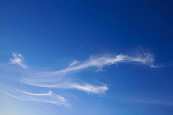 포토 JPG 해외이미지 구름 백그라운드 자연 하늘 날씨 추상 풍경 사람없음 야외 파란색 햇빛 우주 환경 자유 흰색 장면 층 천국 솜털 흐림 내추럴 현상 부족함 해외202004 해외포토 자연요소 컬러 컨셉 무늬 태양 생태계 파일형식 이미지허브