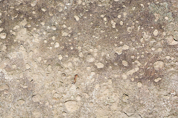 포토 JPG 해외이미지 패턴 벽지 표면 사람없음 질감 해외202004 해외포토 무늬 파일형식 이미지허브