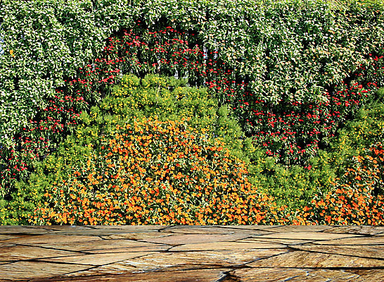 포토 JPG 해외이미지 나무 식물 꽃 벽 백그라운드 벽지 벽돌 바닥 잔디 사람없음 목재 세로 초록색 울타리 정원 원예 질감 양치류 해외202004 해외포토 컬러 재료 취미 담장 파일형식이미지허브 