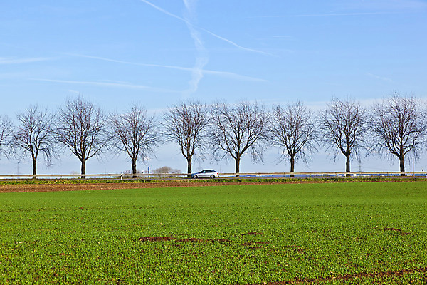 포토 JPG 해외이미지 나무 식물 구름 계절 공원 꽃 유럽 도로 길 백그라운드 꽃무늬 패턴 밭 농업 자연 벽지 하늘 날씨 독일 파노라마 풍경 사람없음 야외 초록색 여름 파란색 컬러풀 태양 농장 갈색 노란색 우주 환경 봄 추위 가을 시골 장면 내추럴 방법 줄서기 수평선 해외202004 해외포토 자연요소 공공시설 나라 산업 컬러 무늬 교통시설 모션 촬영기법 생태계 파일형식 이미지허브