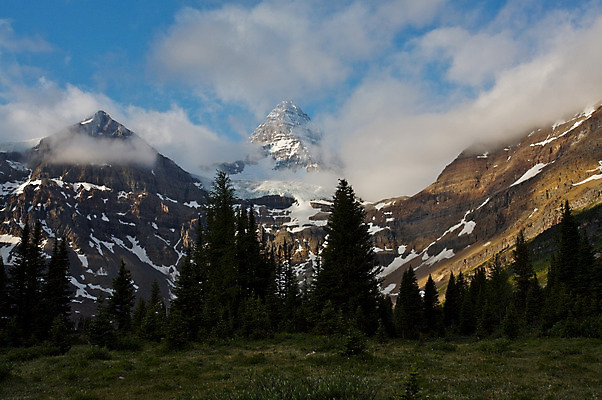 포토 JPG 해외이미지 나무 구름 캐나다 자연 산 풍경 사람없음 얼음 정상 숲 빙하 웅장함 절정 로키산맥 해외202004 해외포토 자연요소 식물 북아메리카 생태계 파일형식 이미지허브