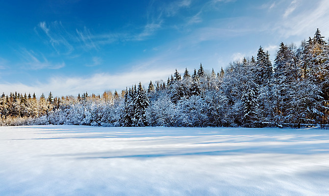 포토 JPG 해외이미지 나무 식물 구름 공원 겨울 포장 자연 하늘 휴가 그림자 풍경 사람없음 야외 가로 파란색 빛 햇빛 일출 냉동 얼음 침묵 황혼 일몰 추위 소나무 황무지 숲 시원함 크리스탈 서리 장면 지역 침엽수 멀리 전나무 깊이 벌거벗은 가문비나무 해외202004 해외포토 자연요소 계절 공공시설 컬러 태양 노을 소리 광석 생태계 파일형식 이미지허브