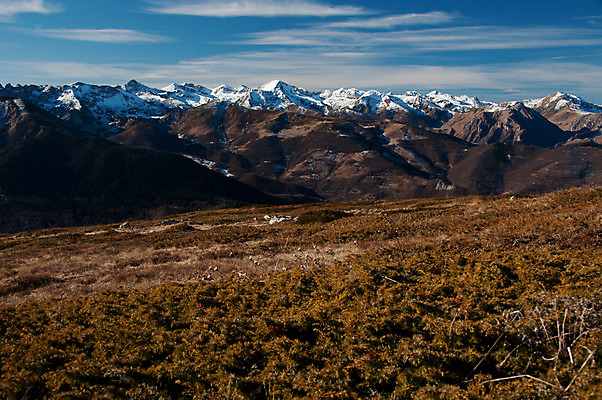 포토 JPG 해외이미지 자연 산 파노라마 풍경 사람없음 야외 알프스 장면 산기슭 절정 해외202004 해외포토 유럽 촬영기법 생태계 파일형식 이미지허브