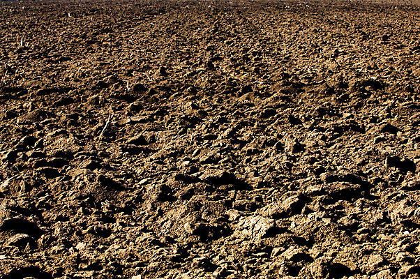 포토 JPG 해외이미지 밭 농업 풍경 사람없음 농장 농경지 흙 시골 땅 만취 트랙터 밭일 쟁기 세련 해외202004 해외포토 산업 농기계 특수차량 술취함 파일형식 이미지허브