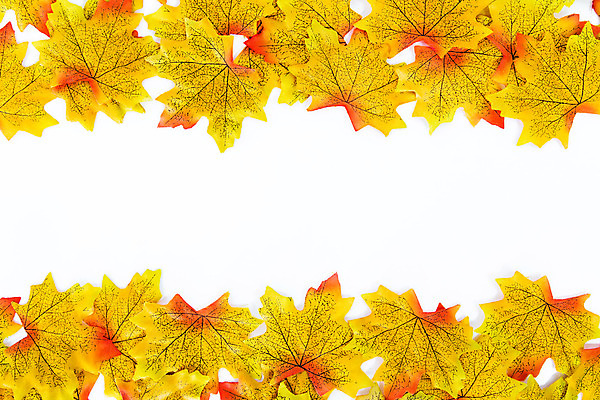 포토 JPG 해외이미지 나무 식물 디자인 계절 백그라운드 단풍 잎 패턴 오렌지 자연 벽지 추상 사람없음 야외 빨간색 초록색 컬러풀 갈색 노란색 수확 가을 흰색 주름 질감 흙더미 내추럴 고립 옛날 해외202004 해외포토 컬러 무늬 농업 과일 흙 생태계 파일형식 더미 이미지허브