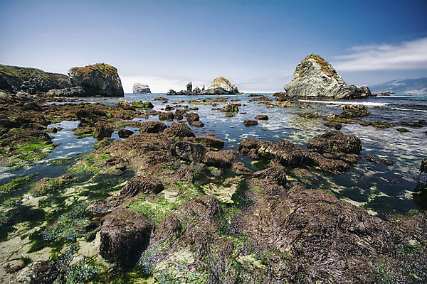 포토 JPG 해외이미지 구름 하늘 날씨 따뜻함 풍경 사람없음 여름 맑음 미국 폭포 서핑 고독 캘리포니아 태평양 암초 멀리 기후변화 울퉁불퉁 해외202004 해외포토 자연요소 계절 감정 바다 북아메리카 자연 수상스포츠 변화 파일형식 이미지허브