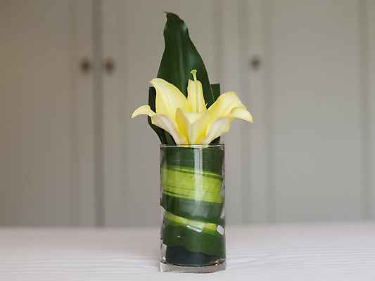 포토 JPG 해외이미지 디자인 꽃잎 꽃 꽃다발 꽃무늬 호텔 주택 선물 사람없음 내부 장식 노란색 꽃병 침실 방 플랫 고급 배열 서비스 해외202004 해외포토 식물 컬러 컨셉 무늬 숙소 건물 파일형식 이미지허브