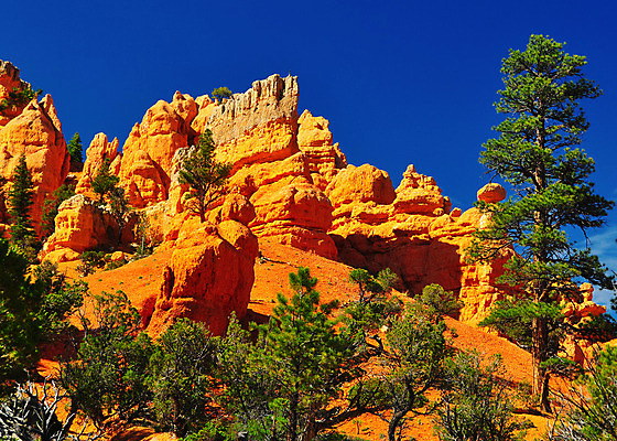 포토 JPG 해외이미지 공원 모래 여행 자연 하늘 휴가 산 파노라마 풍경 사람없음 빨간색 파란색 여행객 평화 골짜기 맑음 미국 침묵 하이킹 사막 바위 황무지 부식 엽서 사암 전국 지질학 해외202004 해외포토 공공시설 교육 컬러 컨셉 북아메리카 레저 날씨 촬영기법 사람 소리 돌_바위 편지 생태계 파일형식 이미지허브