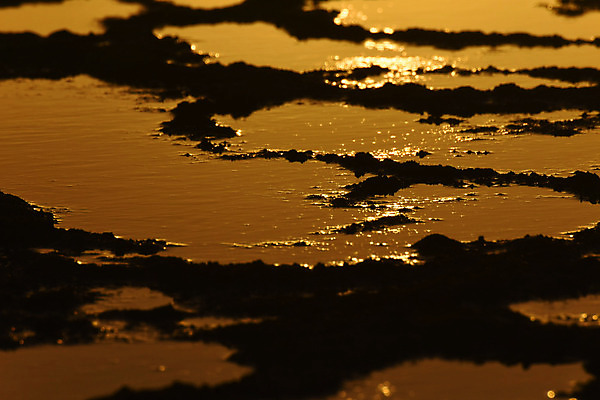 포토 JPG 해외이미지 바다 백그라운드 컨셉 오렌지 표면 추상 프레임 수영장 사람없음 가로 물 여름 빛 햇빛 반사 노란색 금속 사진촬영 일몰 액체 재산 황금 매끈함 소프트포커스 광석 당구 질감 용암 남아프리카 엘리먼트 효과 해외202004 해외포토 자연요소 계절 컬러 무늬 과일 아프리카 재질 촬영기법 금융 태양 구기 노을 촬영 감각 파일형식 이미지허브