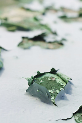 포토 JPG 해외이미지 벽 백그라운드 표면 추상 사람없음 초록색 페인트 껍질 닫기 버리기 부식 질감 썩음 옛날 파멸 해외202004 해외포토 컬러 컨셉 무늬 모션 파일형식 소멸 이미지허브