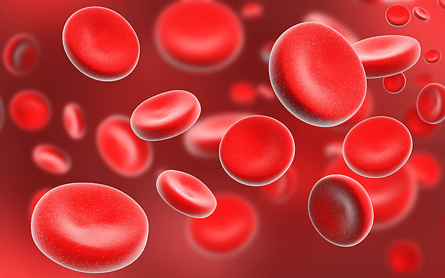 포토 JPG 해외이미지 세포 사람없음 빨간색 3D 적혈구 혈구 해외202004 해외포토 컬러 디지털합성 혈관 파일형식 이미지허브