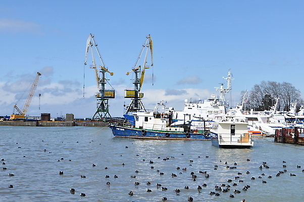 포토 JPG 해외이미지 구름 산업 바다 비즈니스 표면 주택 건조 풍경 사람없음 건물 물 파란색 항구 검은색 기계 화물 도시 업무 보트 상품 컨테이너 기중기 상업 영토 포트 무거움 리프팅 원자재 정문 해외202004 해외포토 자연요소 건축물 컬러 배_교통 교통시설 문 운송업 작업 중장비 무게 파일형식 이미지허브