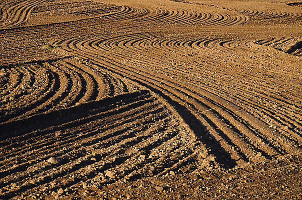 포토 JPG 해외이미지 구름 산업 지구 백그라운드 밭 농업 자연 표면 풍경 사람없음 야외 파란색 햇빛 태양 농경지 일출 환경 경작 검은색 황혼 일몰 흙 봄 광선 시골 저녁 땅 조경 먼지 장면 빛망울 내추럴 땅바닥 오지 쟁기 세련 해외202004 해외포토 자연요소 계절 컬러 바닥 빛 농장 노을 농사 야간 생태계 파일형식 이미지허브
