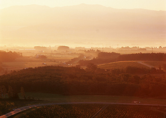 포토 JPG 해외이미지 나무 식물 구름 계절 공원 도로 길 여행 백그라운드 밭 오렌지 자연 하늘 날씨 풍경 잔디 사람없음 야외 초록색 여름 빛 햇빛 태양 농장 노란색 평화 일출 환경 정원 맑음 일몰 흙 봄 안개 광선 흰색 시골 신선 떨어짐 숲 땅 언덕 장면 넘어짐 땅바닥 방법 생태학 수평선 해외202004 해외포토 자연요소 공공시설 교육 컬러 컨셉 농업 과일 교통시설 모션 바닥 노을 생태계 파일형식 이미지허브
