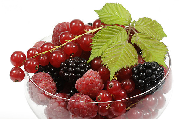 포토 JPG 해외이미지 열매 음식 잎 과일 디저트 건강 사람없음 빨간색 정원 검은색 블랙베리 건포도 숙성 해외202004 해외포토 식물 컬러 포도 건과일 파일형식 이미지허브