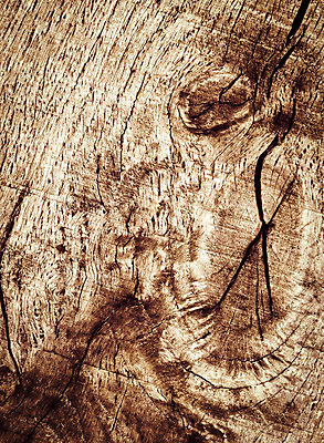 포토 JPG 해외이미지 나무 디자인 벽 백그라운드 패턴 자연 벽지 추상 바닥 사람없음 목재 갈색 어둠 판넬 닫기 널 묘사 질감 복고 호두 먼지 잡동사니 내추럴 수목 옛날 해외202004 해외포토 식물 컬러 무늬 재료 모션 견과류 생태계 파일형식 이미지허브