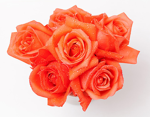 포토 JPG 해외이미지 식물 꽃잎 꽃 길 꽃다발 백그라운드 잎 꽃무늬 오렌지 자연 발렌타인데이 선물 사랑 씨앗 사람없음 장식 초록색 컬러풀 장미 벚꽃 흰색 신선 원형 우아함 혼합 배열 묘사 질감 내추럴 고립 해외202004 해외포토 도형 감정 컬러 컨셉 무늬 과일 데이이벤트 생태계 파일형식 이미지허브