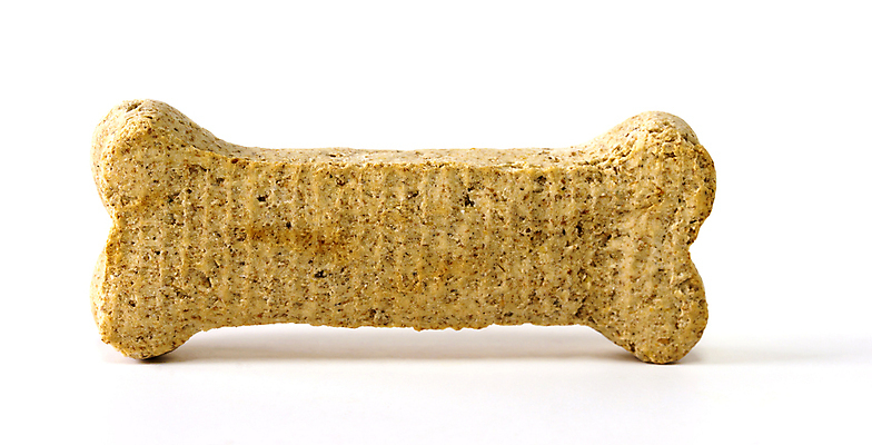 포토 JPG 해외이미지 동물 사람없음 한개 흰색 대접 닫기 개 흰배경 고립 해외202004 해외포토 1 컬러 백그라운드 포유류 모션 파일형식 이미지허브