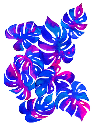 포토 JPG 해외이미지 식물 디자인 잎 휴가 손바닥 사람없음 하와이 엘리먼트 하와이인 해외202004 해외포토 외국인 손 미국 파일형식 이미지허브