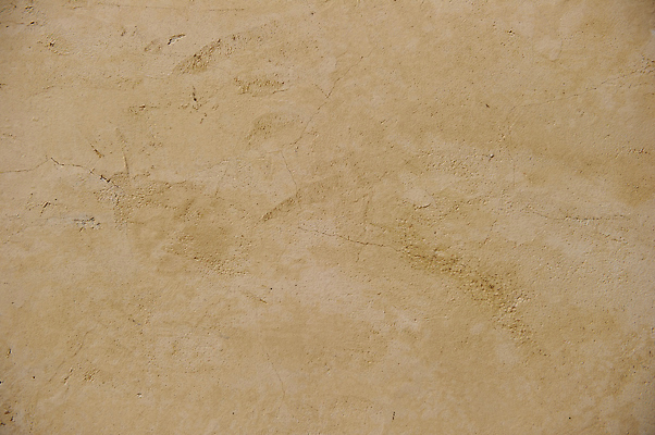 포토 JPG 해외이미지 벽 패턴 표면 사람없음 플랫 질감 안심 석고 해외202004 해외포토 무늬 육류 파일형식 이미지허브