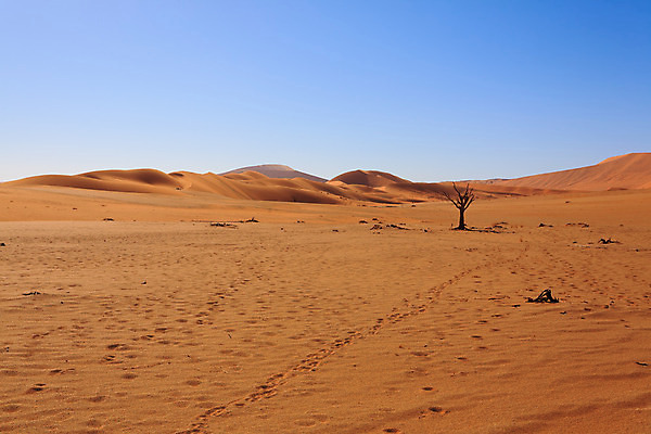 포토 JPG 해외이미지 파도 여행 아프리카 하늘 건조 파노라마 국립공원 풍경 사람없음 빨간색 여름 파란색 갈색 사막 모래언덕 소금 먼지 나미비아 숨기 칼라하리 해외202004 해외포토 계절 공원 나라 바다 컬러 모션 촬영기법 언덕 남아프리카 파일형식 이미지허브