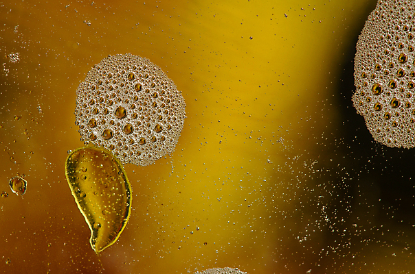 포토 JPG 해외이미지 디자인 백그라운드 컨셉 패턴 오렌지 일러스트 추상 휴가 새로움 미술 사람없음 그래픽 빨간색 초록색 물 컬러풀 노란색 신선 원형 팔레트 그늘 시원함 연도 질감 팩 블러 여의주 해외202004 해외일러스트 자연요소 도형 컬러 무늬 과일 문화예술 화장품 파일형식 이미지허브