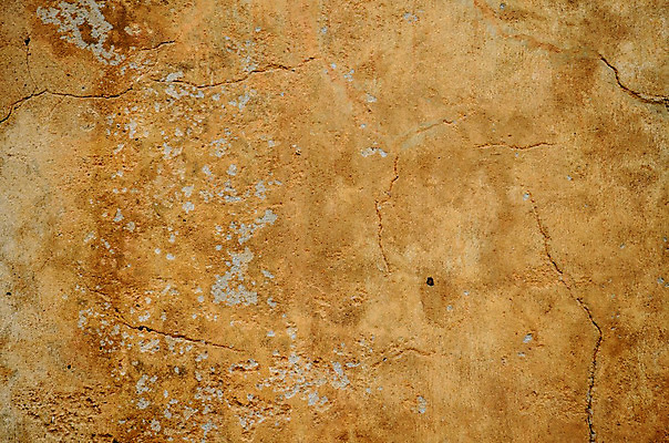 포토 JPG 해외이미지 템플릿 디자인 벽 백그라운드 패턴 오렌지 표면 날씨 추상 미술 사람없음 우주 페인트 공백 손상 수확 골동품 시골 점 얼룩 거친 역사 고민 부식 질감 복고 캔버스 먼지 스크래치 거짓 구식 그런지 옛날 해외202004 해외포토 감정 컨셉 무늬 농업 과일 문화예술 파일형식 이미지허브