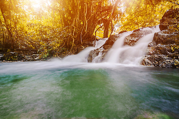 포토 JPG 해외이미지 나무 식물 공원 바다 여행 백그라운드 잎 패턴 태국 자연 벽지 추상 휴가 건강 풍경 사람없음 야외 목재 초록색 물 빛 우주 환경 봄 활발 폭포 젖음 성장 가을 신선 개울 떨어짐 숲 시원함 즐거움 천국 이국적 파라다이스 해외202004 해외포토 자연요소 계절 공공시설 감정 아시아 컬러 컨셉 무늬 재료 강 생태계 파일형식 이미지허브