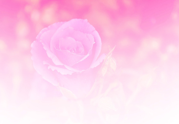 포토 JPG 해외이미지 식물 디자인 꽃 분홍색 꽃다발 백그라운드 컨셉 꽃무늬 자연 벽지 추상 수채화 선물 사람없음 빨간색 물 장미 우주 벚꽃 흰색 신선 최고 만족 아로마 부드러움 공상 파스텔톤 스타일 해외202004 해외포토 자연요소 감정 컬러 무늬 감각 생태계 파일형식 이미지허브