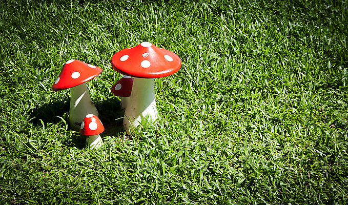 포토 JPG 해외이미지 식물 디자인 계절 공원 백그라운드 컨셉 잎 패턴 밭 재료 자연 하늘 부활절 미술 풍경 잔디 사람없음 아웃포커스 빨간색 초록색 여름 빛 컬러풀 태양 환경 정원 맑음 버섯 봄 새벽 안개 신선 보케 시멘트 내추럴 단백질 인공 효과 해외202004 해외포토 자연요소 공공시설 기념일 컬러 무늬 농업 날씨 문화예술 촬영기법 생태계 영양소 파일형식 이미지허브