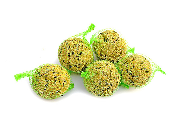 포토 JPG 해외이미지 동물 야생동물 음식 백그라운드 재료 자연 조류 씨앗 사람없음 작음 먹이 내추럴 동물상 수유 해외202004 해외포토 식물 조형물 크기 생태계 파일형식 이미지허브