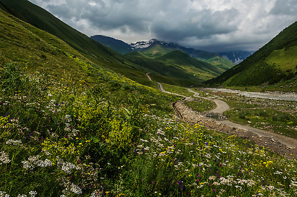 포토 JPG 해외이미지 나무 구름 디자인 계절 꽃 실루엣 유럽 길 여행 자연 하늘 휴가 휴식 산 풍경 사람없음 야외 목재 가로 여름 파란색 계곡 침묵 자유 안개 바위 정상 숲 언덕 명상 내추럴 웅장함 절정 조지아 해외202004 해외포토 자연요소 식물 나라 컬러 컨셉 재료 날씨 촬영기법 소리 돌_바위 생태계 동유럽 파일형식 이미지허브