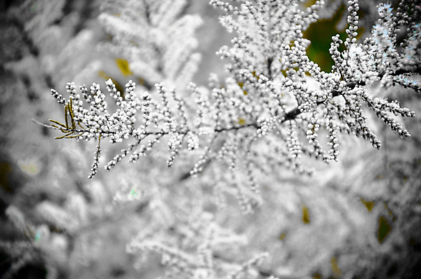 포토 JPG 해외이미지 나무 식물 공원 꽃잎 꽃 분홍색 여행 백그라운드 꽃무늬 밭 자연 하늘 휴가 풍경 사람없음 야외 장식 가로 빨간색 초록색 여름 파란색 정원 봄 안개 벚꽃 나뭇가지 개화 제비꽃 관목 만족 원예 소금 장면 내추럴 강렬 삼나무 해외202004 해외포토 계절 공공시설 감정 컬러 무늬 농업 날씨 취미 생태계 파일형식 이미지허브