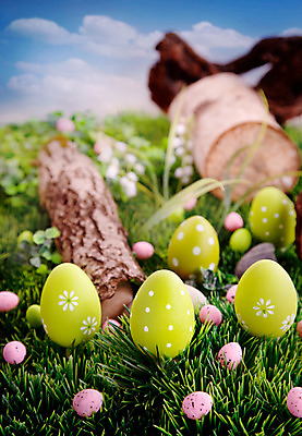 포토 JPG 해외이미지 나무 구름 디자인 계절 공원 꽃 백그라운드 컨셉 밭 오렌지 자연 하늘 휴가 부활절 병아리 풍경 사람없음 야외 목재 가로 초록색 파란색 컬러풀 태양 노란색 바구니 계란 페인트 봄 광선 흰색 축하 토끼 신선 그리기 4월 사냥 일반 카피스페이스 해외202004 해외포토 자연요소 식물 공공시설 기념일 컬러 농업 과일 재료 포유류 모션 조류 반려동물 알 공백 날짜 생태계 파일형식 이미지허브