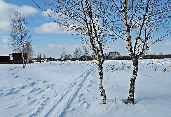 포토 JPG 해외이미지 나무 계절 여행 겨울 밭 자국 자연 하늘 날씨 풍경 사람없음 야외 햇빛 마을 침묵 산책 추위 흰색 나뭇가지 시골 신선 오솔길 서리 러시아 자작나무 선로 자취 눈내림 겨울풍경 해외202004 해외포토 식물 유럽 길 컬러 농업 휴식 눈_날씨 태양 소리 생태계 파일형식 이미지허브
