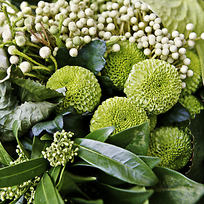 포토 JPG 해외이미지 식물 디자인 꽃잎 꽃 꽃다발 백그라운드 잎 꽃무늬 자연 발렌타인데이 선물 사랑 사람없음 장식 초록색 컬러풀 봄 벚꽃 흰색 축하 신선 개화 닫기 혼합 다발 배열 꽃집 묘사 오브젝트 원예 향기 아로마 내추럴 고립 섞기 해외202004 해외포토 계절 감정 컬러 컨셉 무늬 모션 데이이벤트 취미 상점 생태계 냄새 파일형식 이미지허브