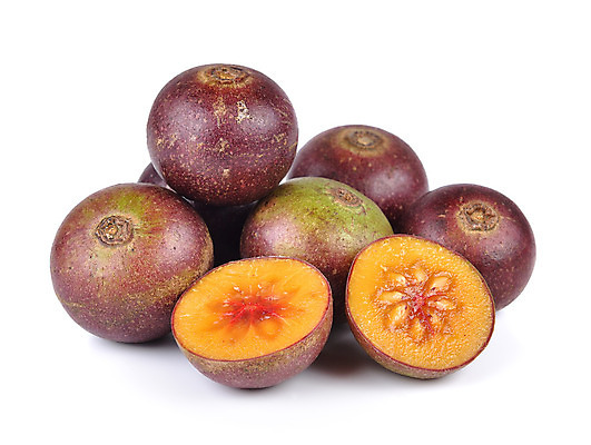 포토 JPG 해외이미지 잎 과일 태국 사람없음 빨간색 초록색 약 보라색 흰색 숲 작음 허브 자두 내추럴 넘어짐 해외202004 해외포토 식물 아시아 컬러 의학 모션 크기 파일형식 이미지허브